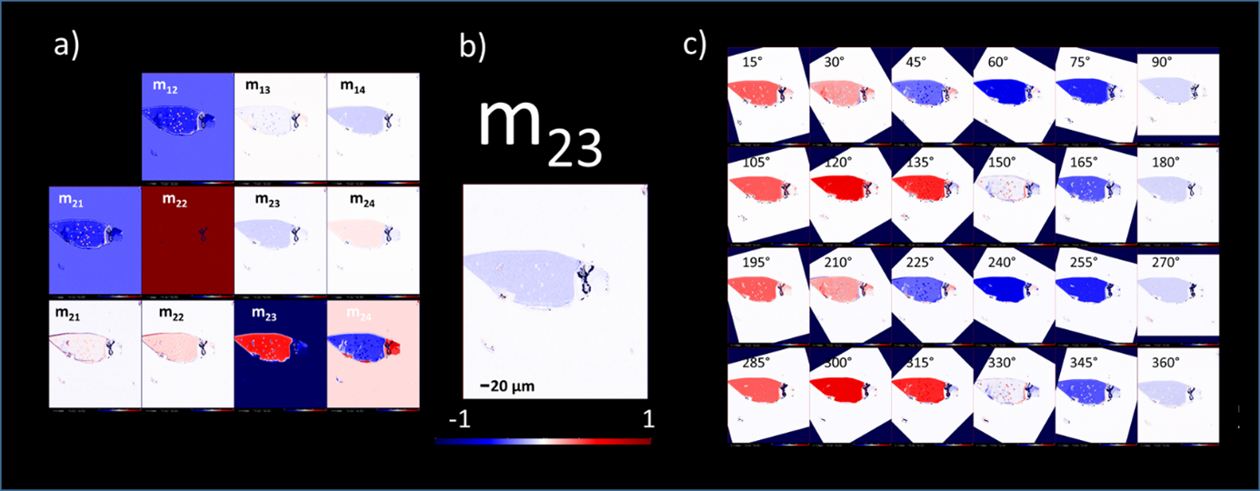 Figure 1: Microscopic Maps of 11 elements of the Müller Matrix (a), the ...